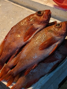 Noryangjin Fish Market